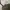 The North Face Streetwear Sportswear T-shirt Pria cream photo 5