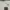 The North Face Streetwear Sportswear T-shirt Pria cream photo 3