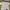 The North Face Streetwear Sportswear T-shirt Pria cream photo 2