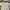 The North Face Streetwear Sportswear T-shirt Pria Cream