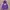 Kangol Cosplay Sweater Pria purple photo 1
