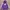 Kangol Cosplay Sweater Pria Purple