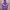 Kangol Cosplay Sweater Pria purple photo 4