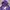 Kangol Cosplay Sweater Pria purple photo 2
