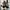 Adidas Streetwear Casual Sneakers Pria blue photo 3