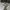 Converse Minimalist Boots Pria white black photo 4