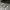 Converse Minimalist Boots Pria white black photo 1