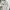 Limited Studio Casual Polo shirt Pria white photo 1