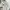 Limited Studio Casual Polo Shirt Pria White