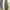 Adidas Sportswear Casual Sneakers Pria navy black photo 8