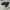 Adidas Sportswear Casual Sneakers Pria navy black photo 1