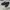 Adidas Sportswear Casual Sneakers Pria Navy Black