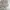 Dickies Vintage Streetwear Trench coat Pria tan photo 3