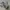 Nike Sportswear Casual Sneakers Pria white gray photo 3