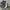 Nike Sportswear Casual Sneakers Pria white gray photo 4