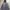 Fieldcore Gorpcore Casual Windbreaker Pria Gray