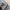 Fieldcore Gorpcore Casual Windbreaker Pria gray photo 4