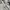 Fieldcore Gorpcore Casual Windbreaker Pria gray photo 5