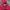 Nike Gorpcore Casual Windbreaker Pria burgundy photo 5