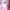 H&M Sportswear Casual Wanita pink photo 6