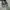 VANS Streetwear Indie Sneakers Wanita multicolor photo 2