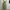 Calvin Klein Fairy Coquette Maxi dress Wanita green yellow photo 1