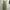 Calvin Klein Fairy Coquette Maxi Dress Wanita Green Yellow