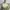 Calvin Klein Fairy Coquette Maxi Dress Wanita Green Yellow