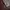Handbag Burgundy photo 4