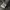 Japanese brand Gorpcore Casual Windbreaker Pria white black photo 5