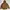 Sportswear Casual Puffer jacket Pria tan brown photo 1