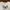 COLORBOX Indie Coquette Crop top Wanita white black photo 2