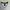 Nike Casual Jersey Pria white photo 2