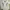 Nike Casual Jersey Pria white photo 1