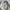 vintage y2k von dutch cropped puffer photo 5