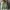 H&M Streetwear Casual Varsity jacket Pria green photo 3