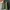 H&M Streetwear Casual Varsity jacket Pria green photo 5