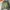 H&M Streetwear Casual Varsity jacket Pria green photo 1