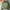 H&M Streetwear Casual Varsity Jacket Pria Green