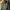 H&M Streetwear Casual Varsity jacket Pria green photo 8