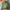H&M Streetwear Casual Varsity jacket Pria green photo 2