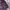 Vintage Streetwear Pea coat Pria purple photo 5