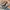 Salomon Streetwear Gorpcore Sneakers Pria gray photo 3