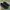 Salomon Gorpcore Sneakers Pria black photo 1