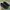 Salomon Gorpcore Sneakers Pria Black