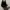 Clarks Coquette Casual Casual shoe Pria black photo 3