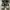Converse Streetwear Casual Sneakers Pria white black photo 3