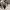 Converse Streetwear Casual Sneakers Pria white black photo 2