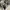Converse Streetwear Casual Sneakers Pria White Black
