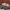 New Balance Streetwear Sportswear Sneakers Pria gray photo 1